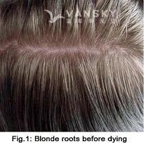 221228150925_Hair-Before Dying-s.jpg